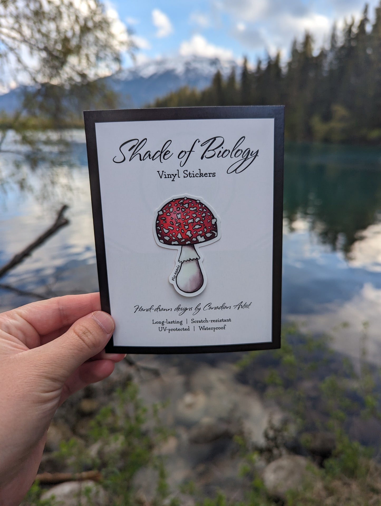 Sticker | Fly agaric