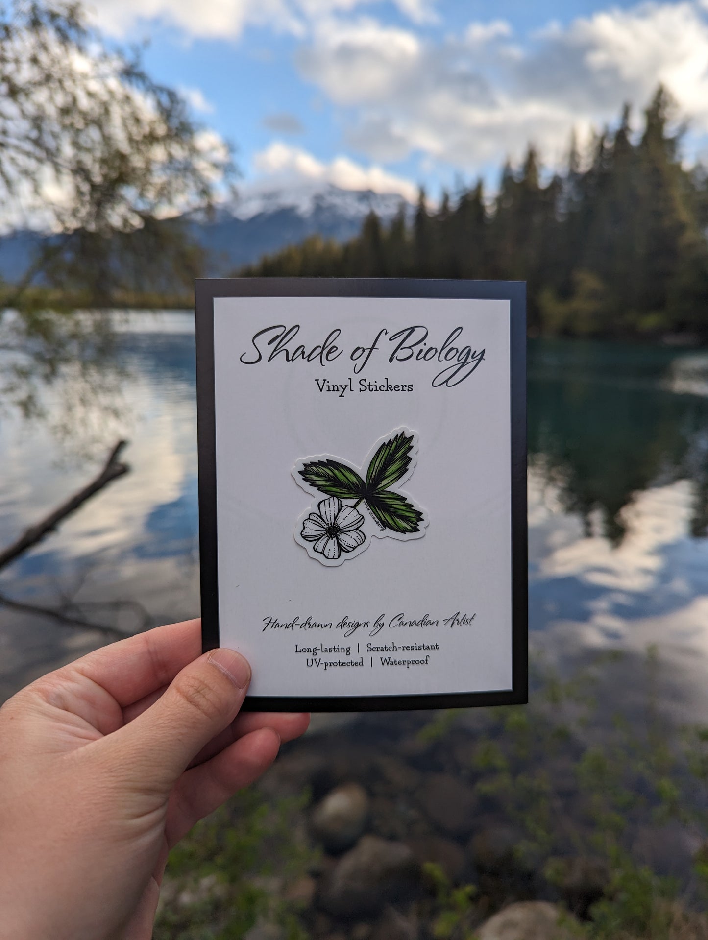 Sticker | Wild strawberry mini