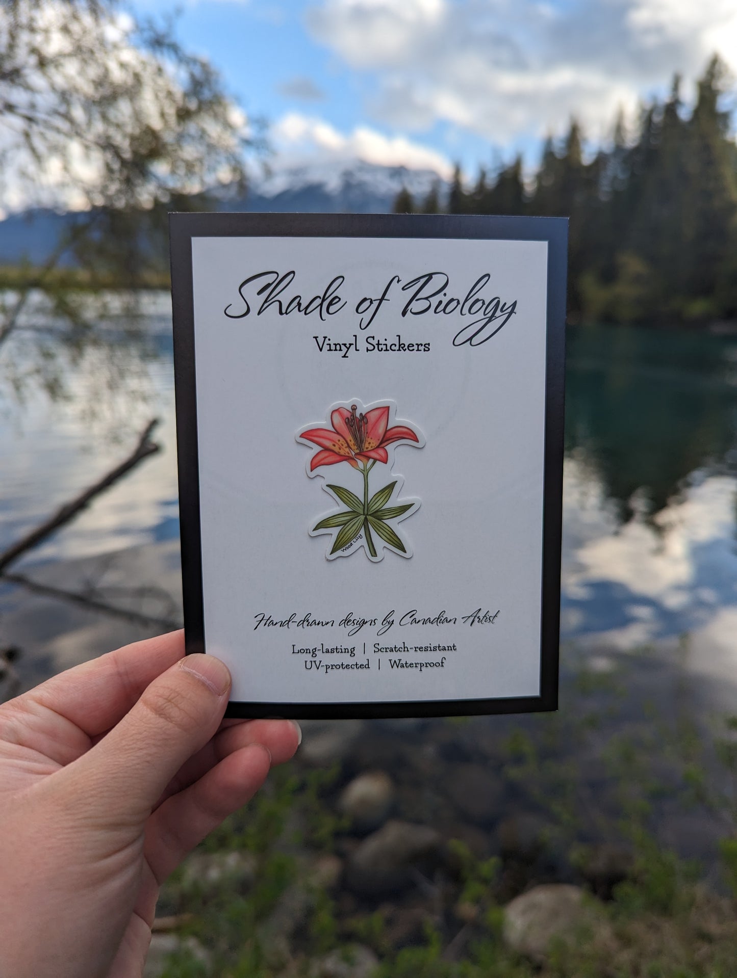 Sticker | Wood lily mini