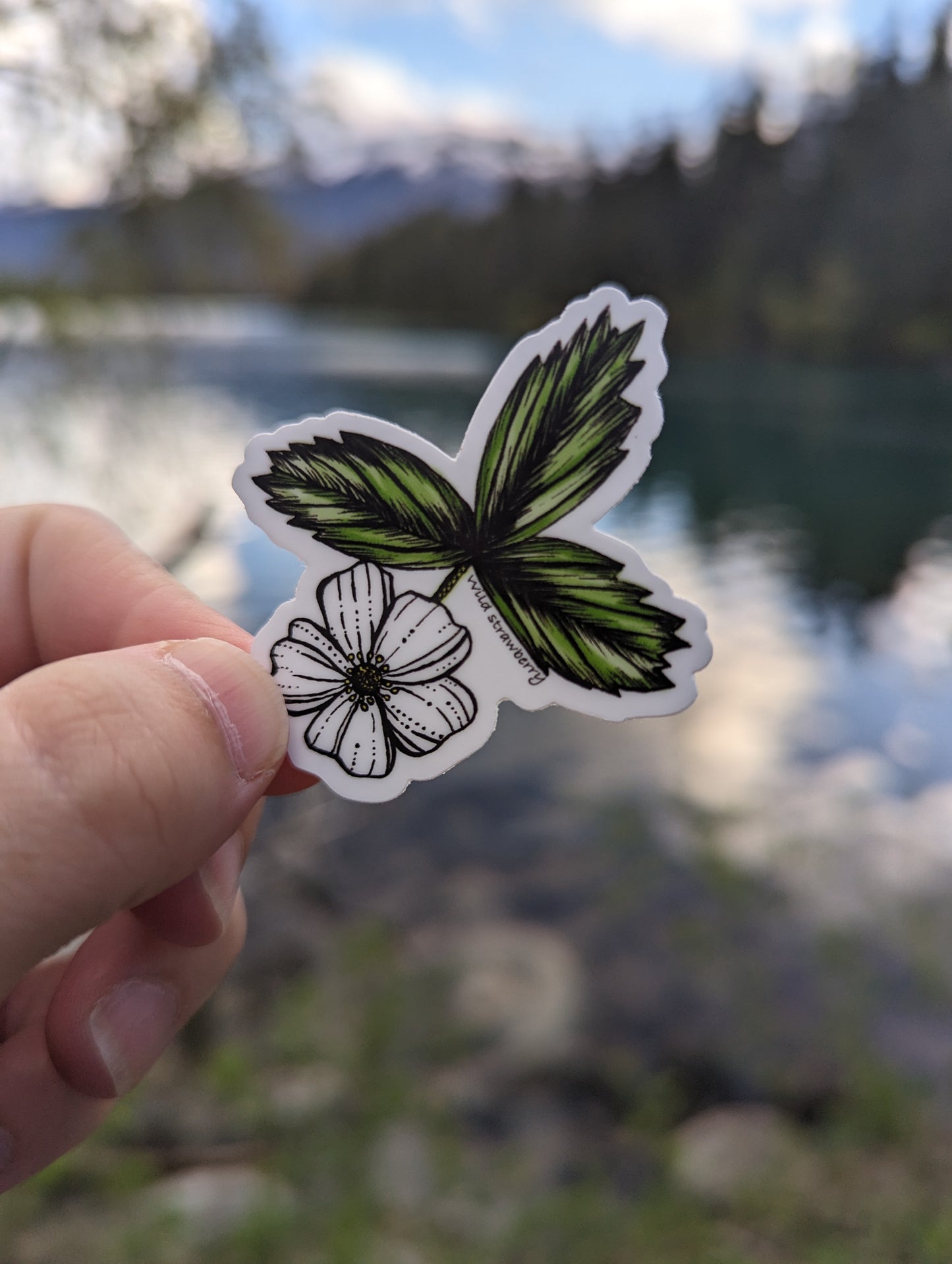 Sticker | Wild strawberry mini