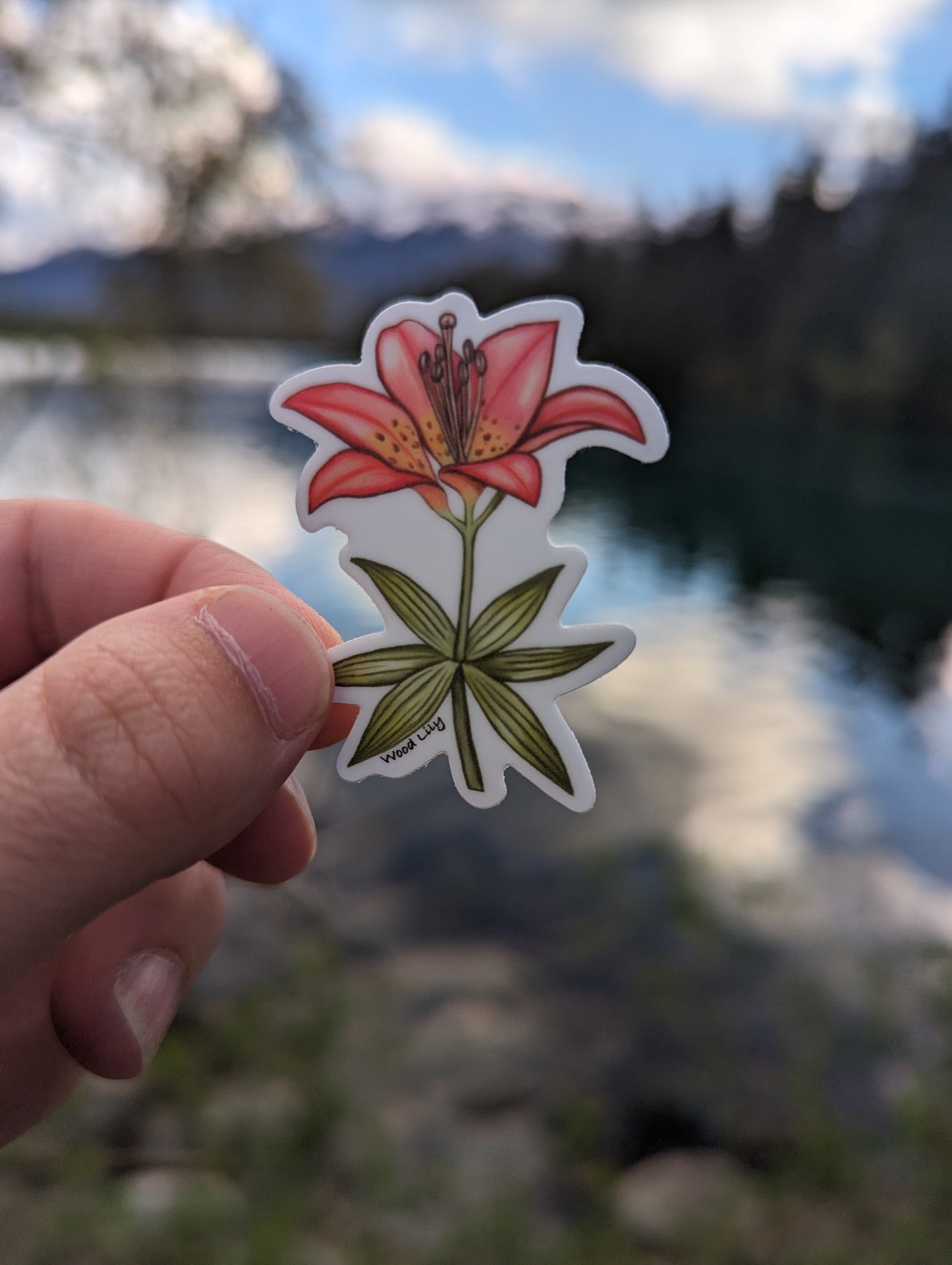 Sticker | Wood lily mini
