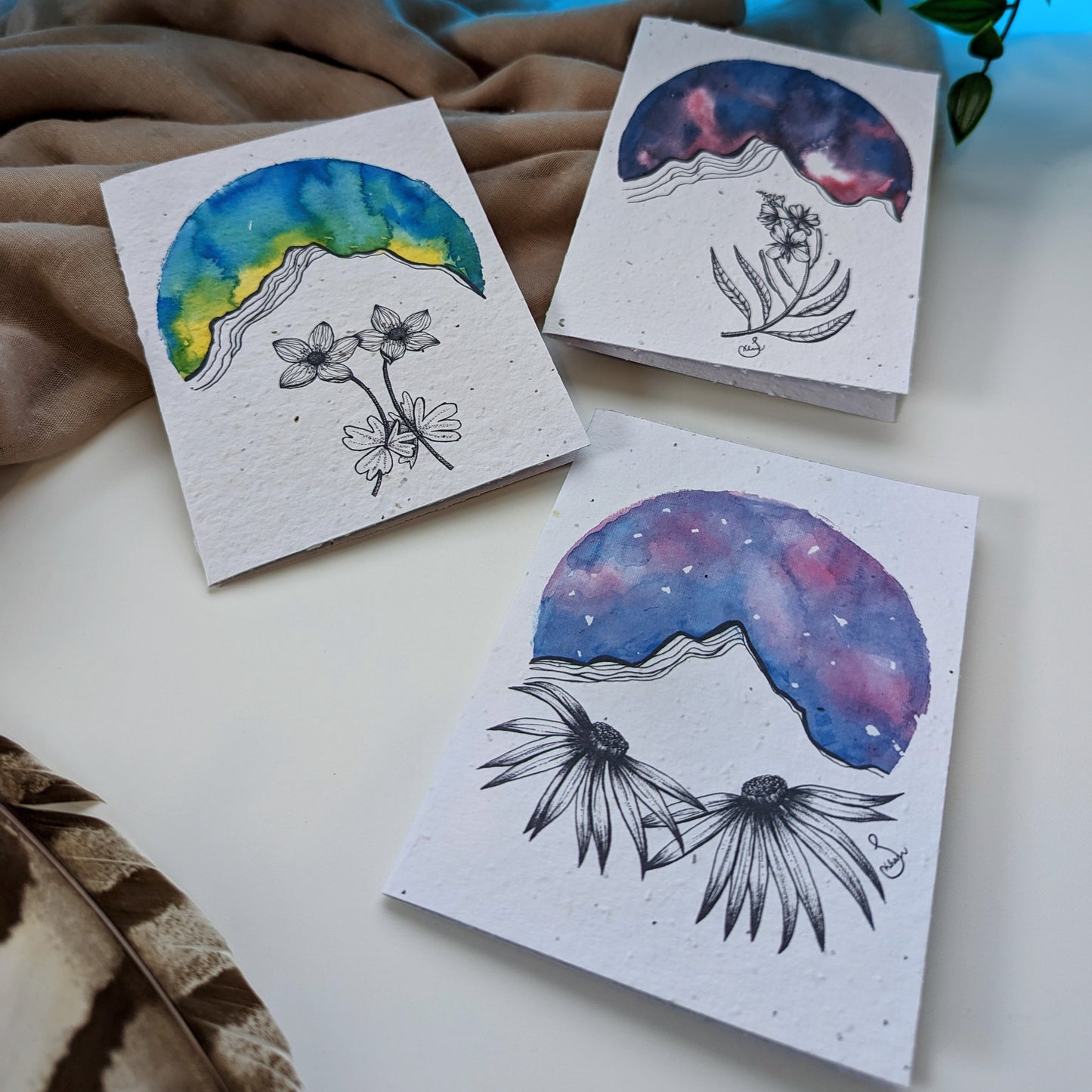 Card | Wood Asters at Pyramid Mountain | Seeded Paper