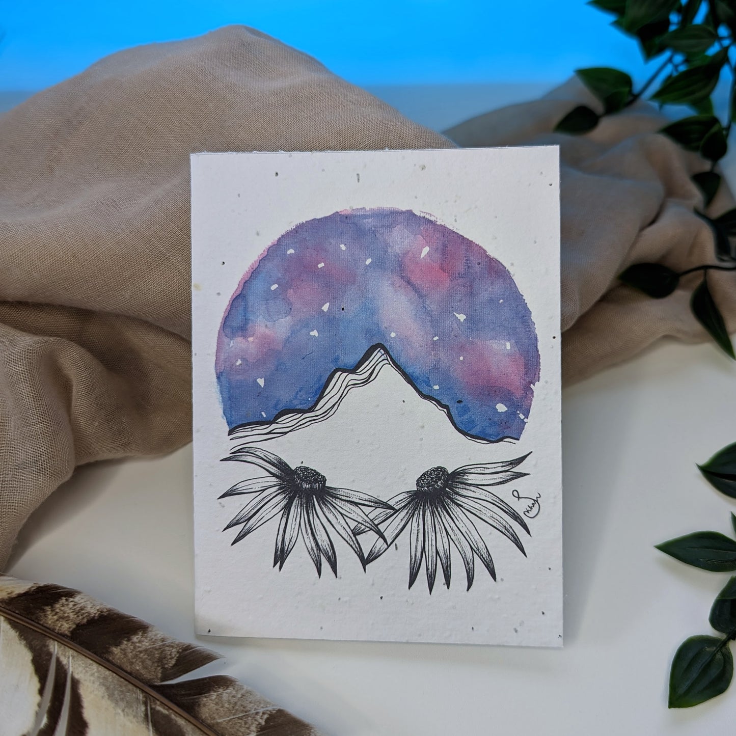 Card | Wood Asters at Pyramid Mountain | Seeded Paper
