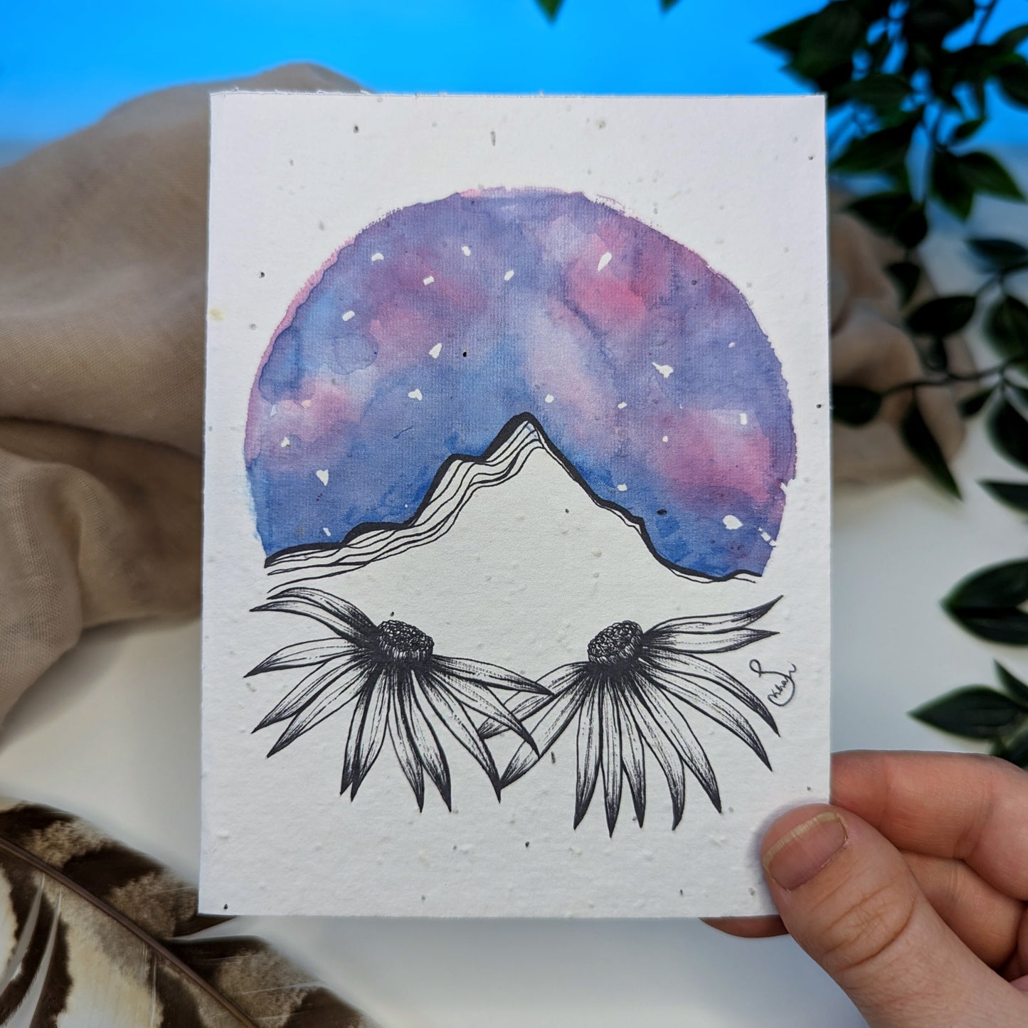 Card | Wood Asters at Pyramid Mountain | Seeded Paper