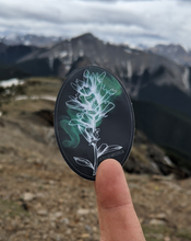 Load image into Gallery viewer, Sticker | Castilleja Rhexifolia | Alpine Paintbrush Round
