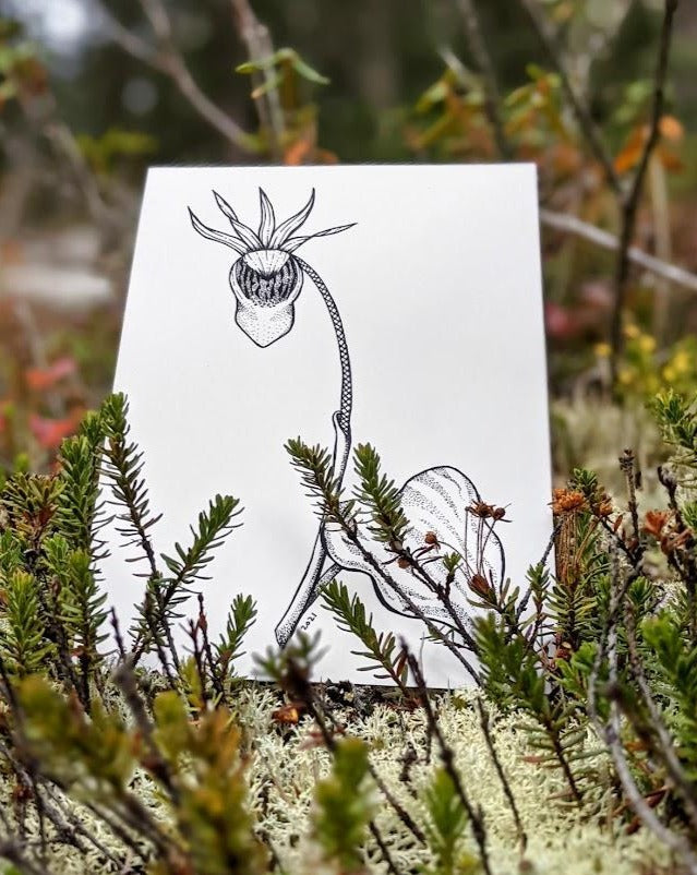 Print | Inked Fairy Slipper | The Pinkest Flower in the Forest