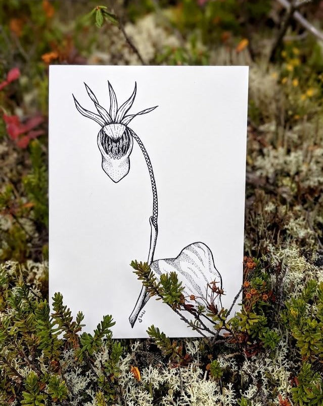 Print | Inked Fairy Slipper | The Pinkest Flower in the Forest