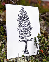 Load image into Gallery viewer, Print | White Spruce | A Fluid take on the Forest
