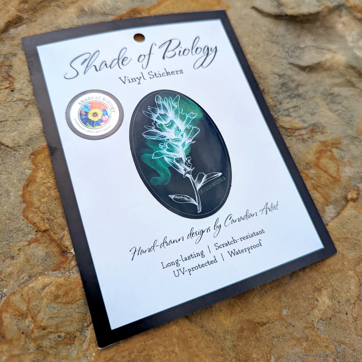 Sticker | Castilleja Rhexifolia | Alpine Paintbrush Round