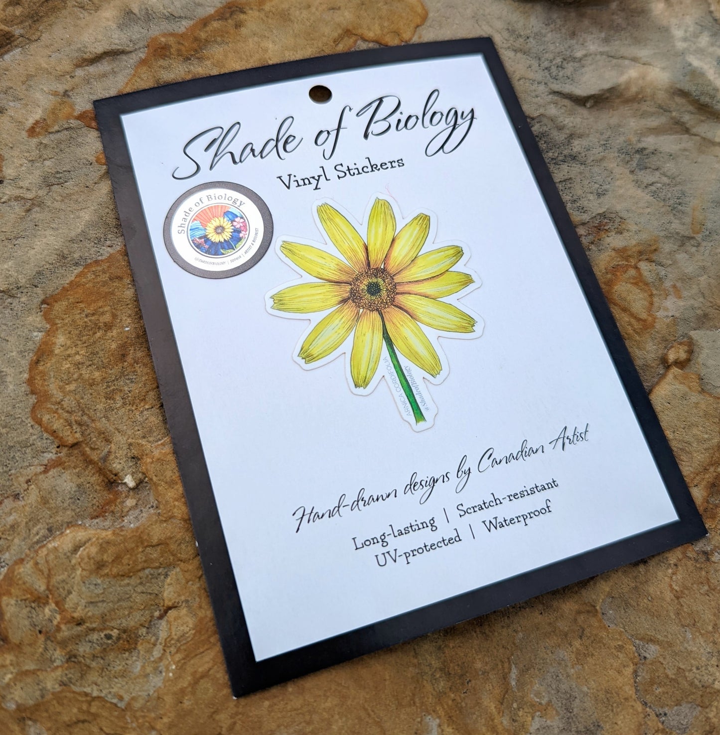 Arnica cordifolia | Heart Leaf Arnica Sticker