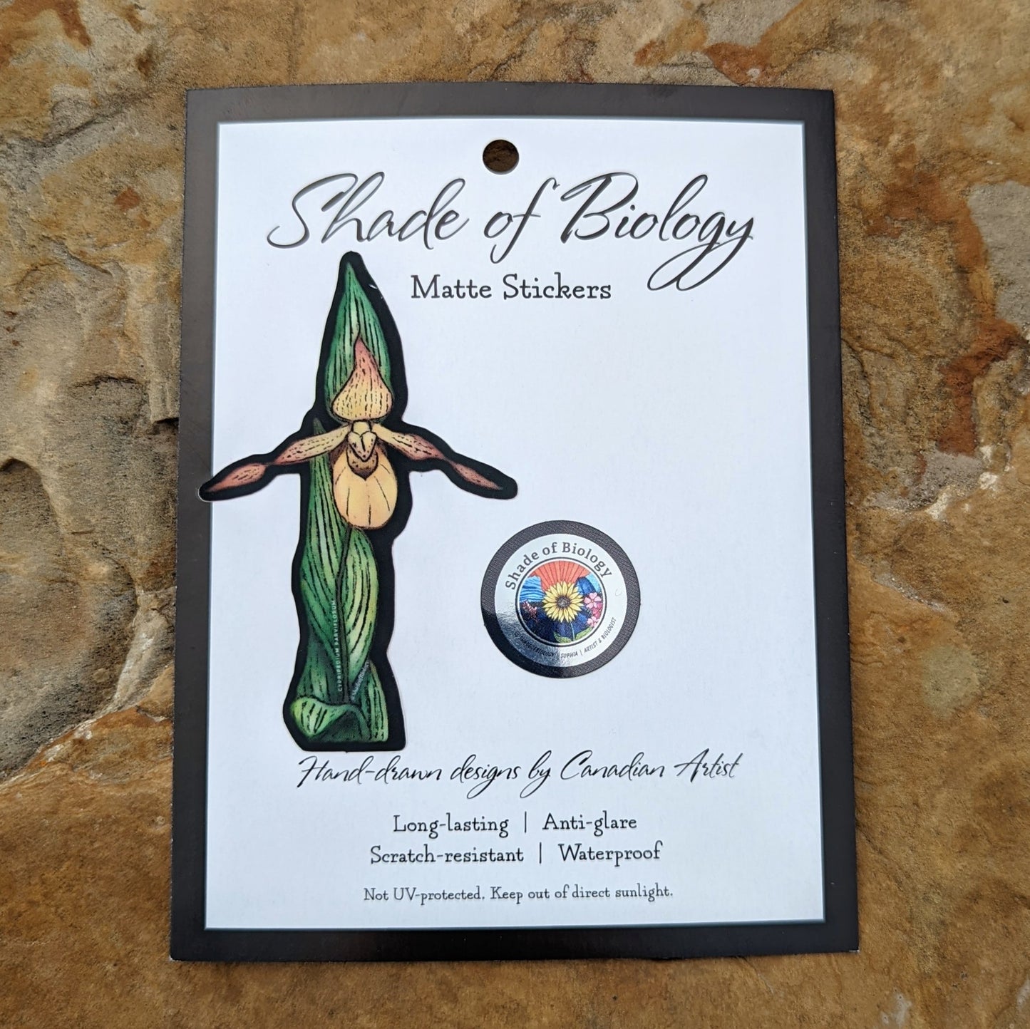 Sticker | Cypripedium parviflorum | Yellow Lady's Slipper