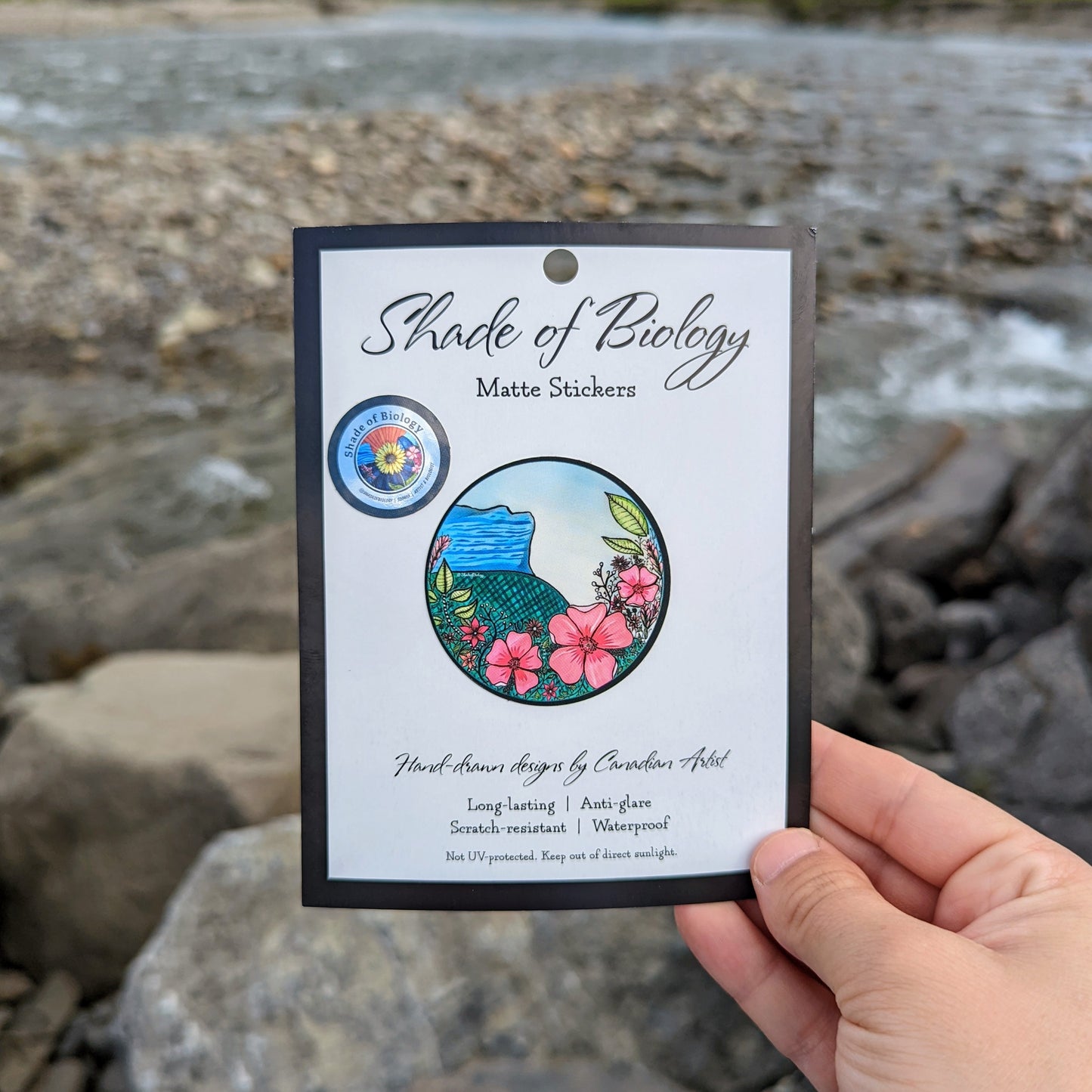 Sticker | Roses & Roche Meitte
