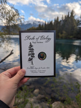 Load image into Gallery viewer, Sticker | Lodgepole pine
