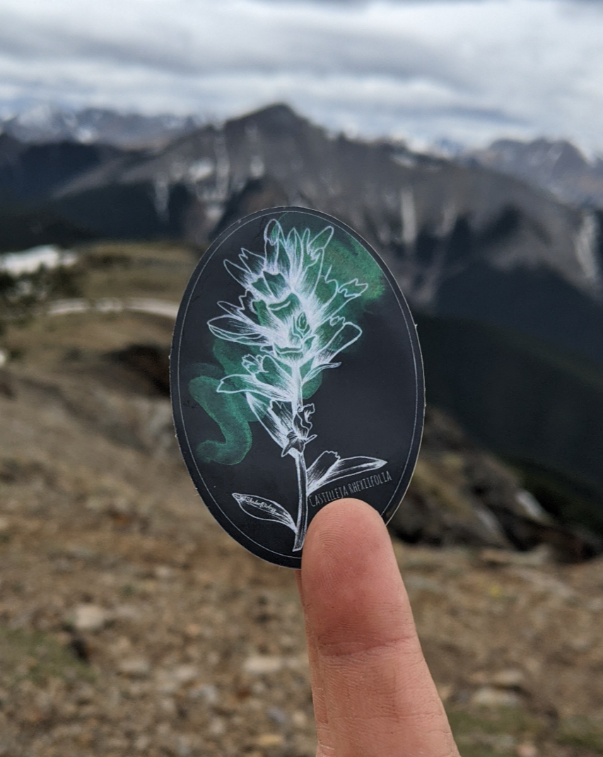 Sticker | Castilleja Rhexifolia | Alpine Paintbrush Round