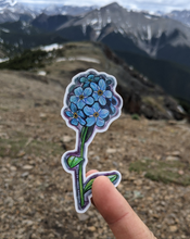 Load image into Gallery viewer, Sticker | Myosotis asiatica | Mountain Forget-Me-Not
