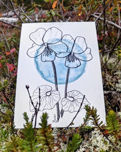 Load image into Gallery viewer, Print | Selkirk&#39;s Violet | The Violet Lover&#39;s Piece
