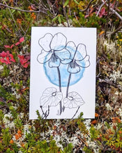 Load image into Gallery viewer, Print | Selkirk&#39;s Violet | The Violet Lover&#39;s Piece
