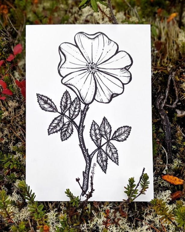 Print | Woods Rose | The Flower of Love