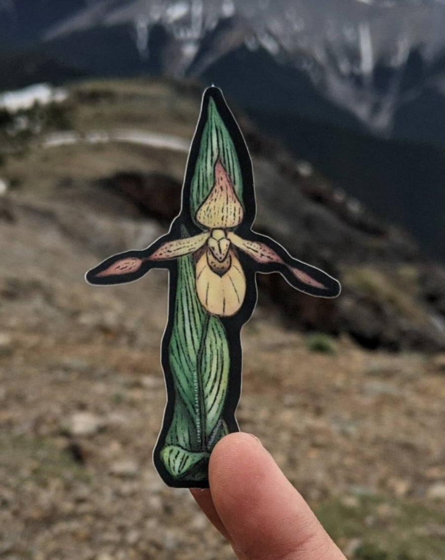 Sticker | Cypripedium parviflorum | Yellow Lady's Slipper