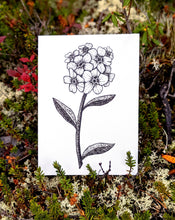 Load image into Gallery viewer, Print | Inked Mountain Forget-me-not | A Cute Canadian Flower

