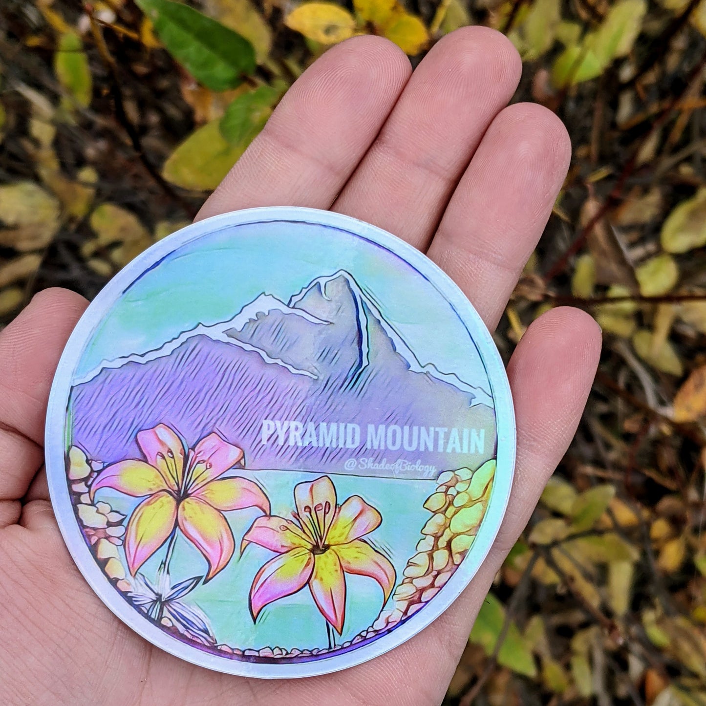 Sticker | Limited Edition | Pyramid Mountain