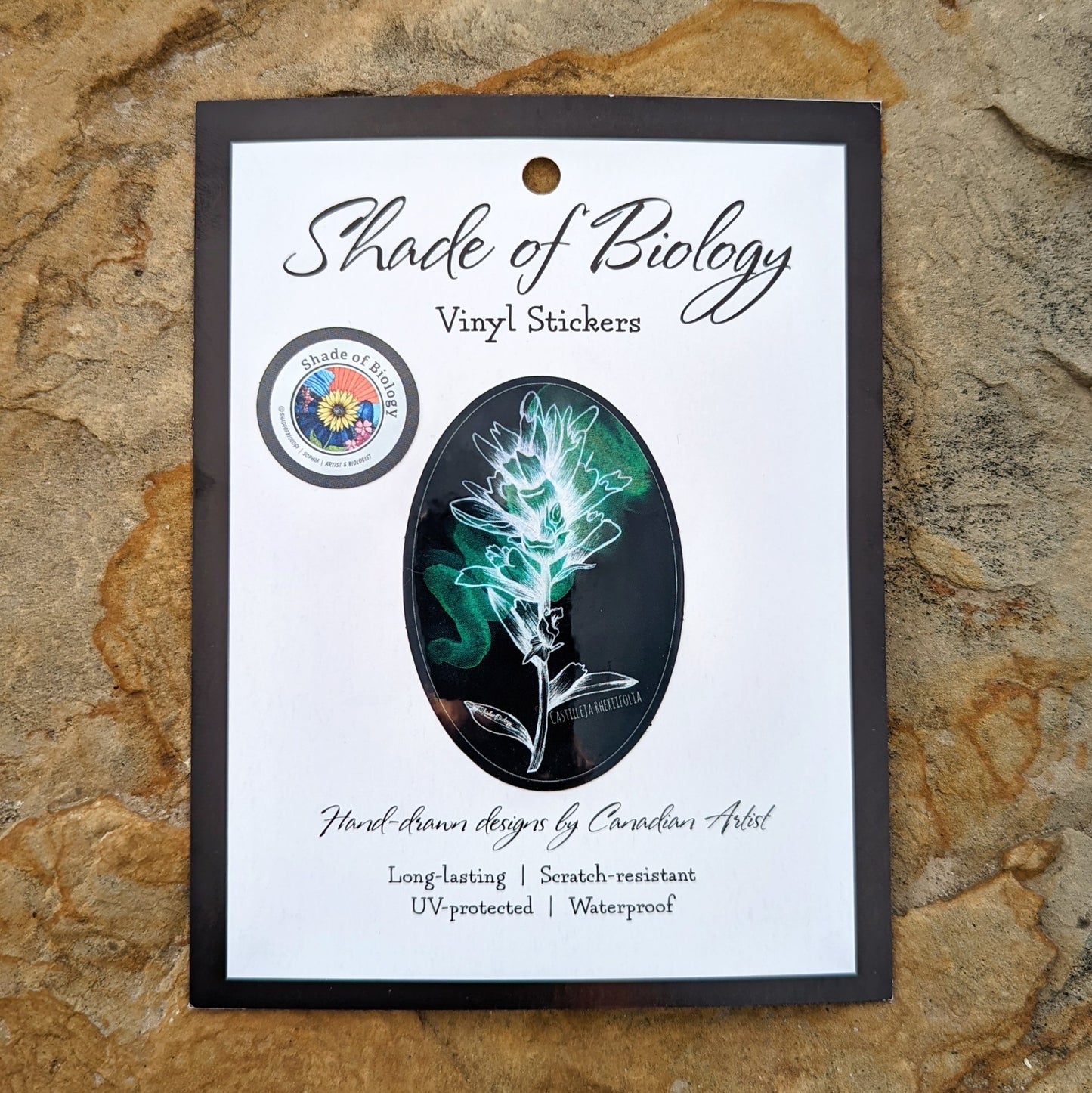Sticker | Castilleja Rhexifolia | Alpine Paintbrush Round