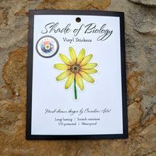 Load image into Gallery viewer, Arnica cordifolia | Heart Leaf Arnica Sticker
