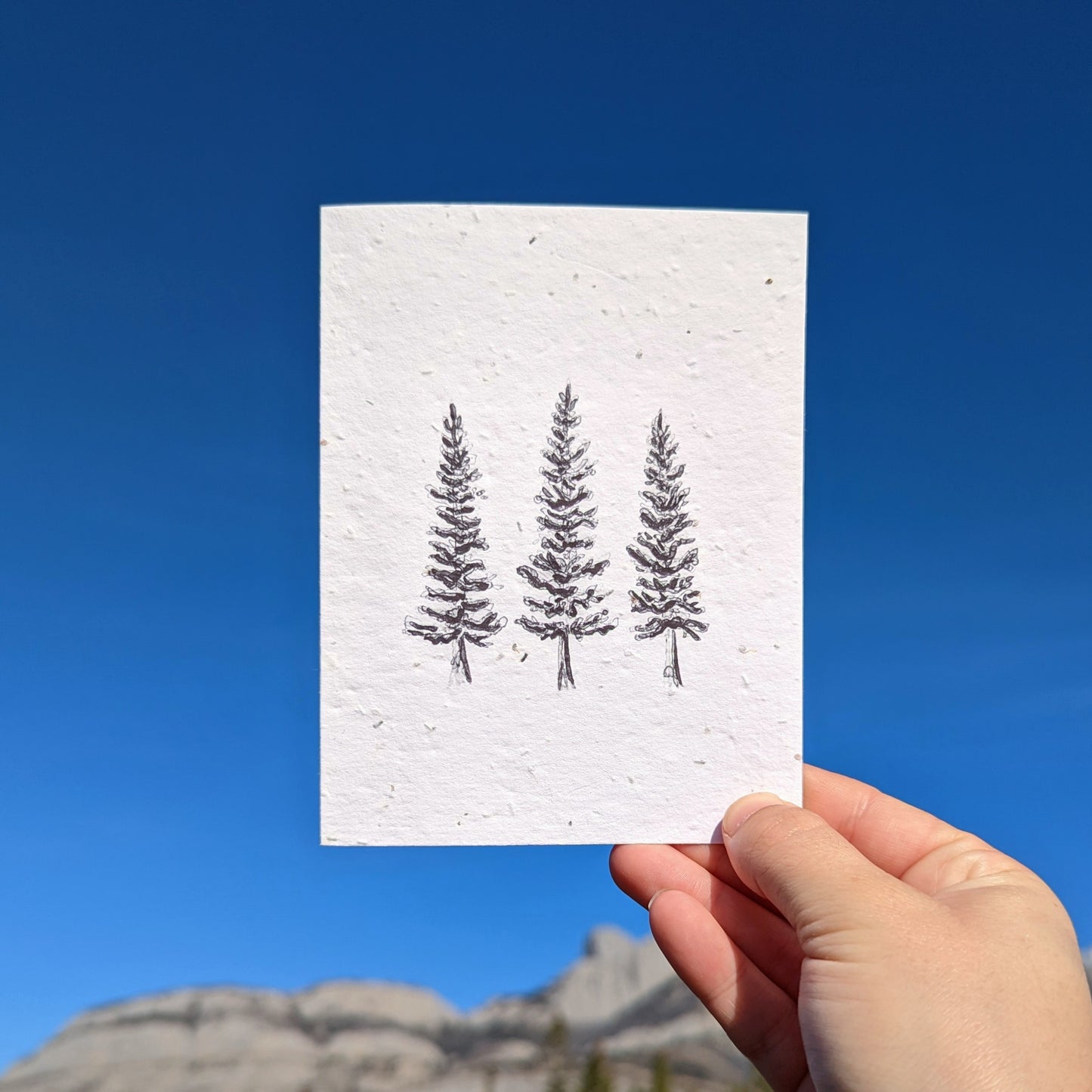 Card | Spruce Stand | Seeded Paper