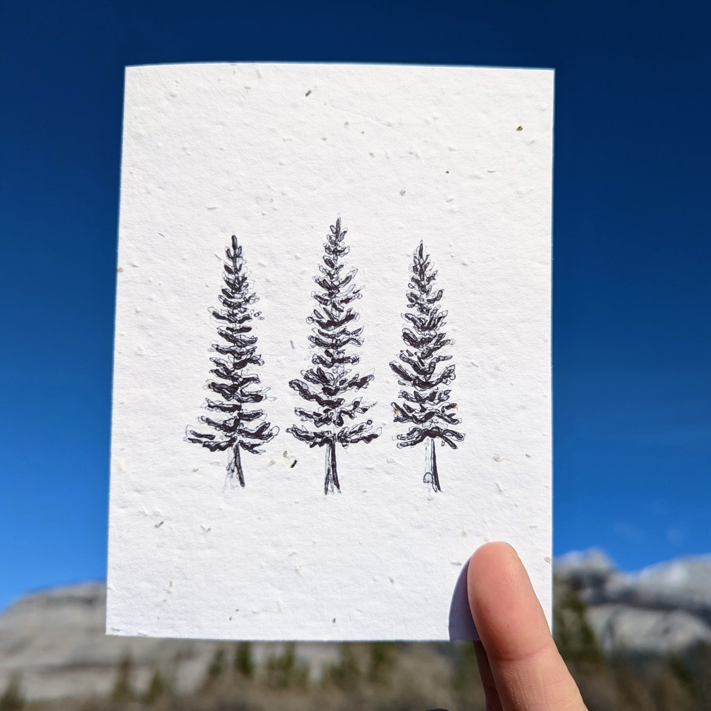 Card | Spruce Stand | Seeded Paper