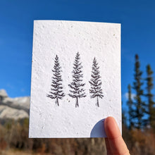 Load image into Gallery viewer, Card | Spruce Stand | Seeded Paper
