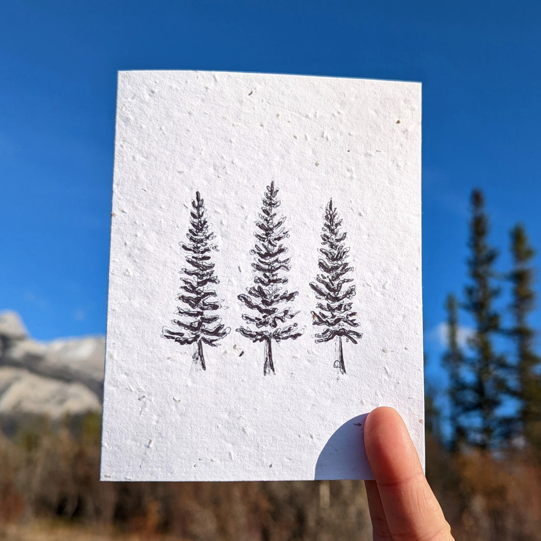 Card | Spruce Stand | Seeded Paper