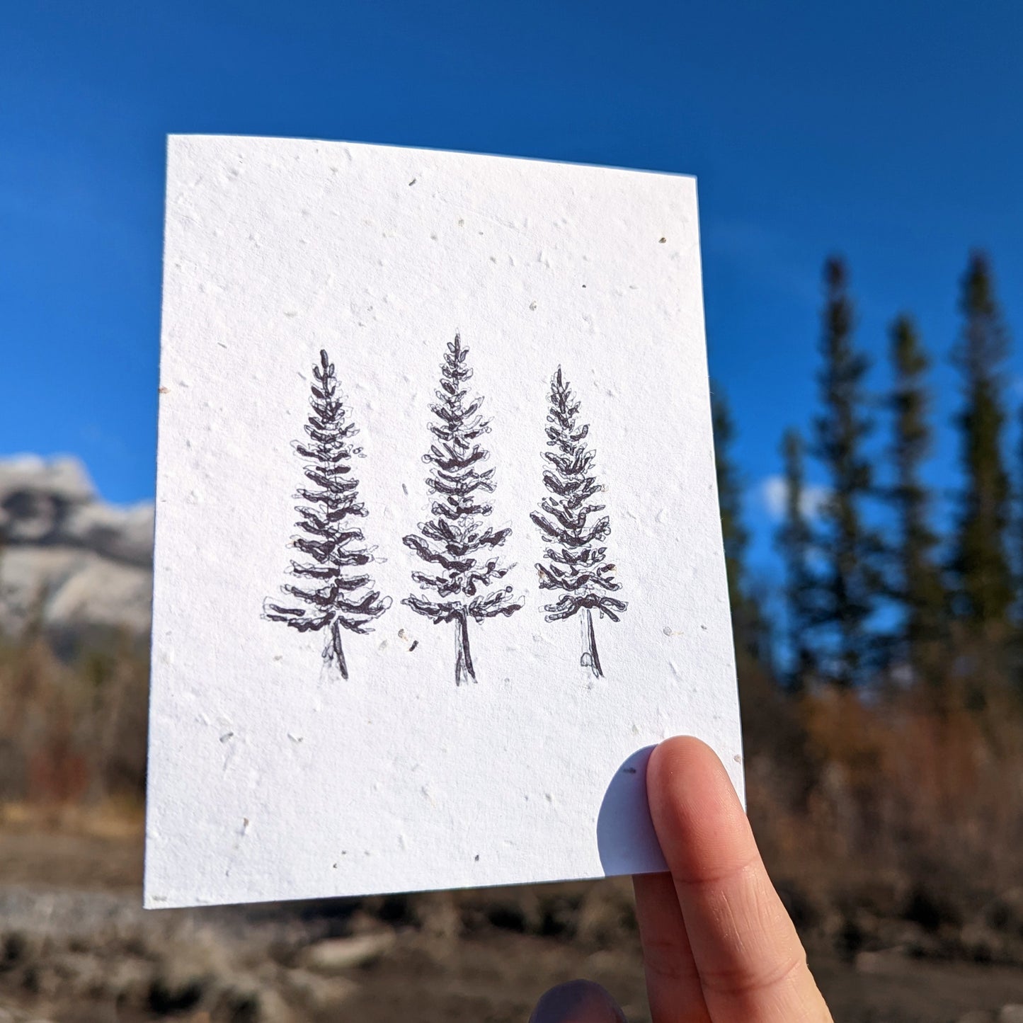 Card | Spruce Stand | Seeded Paper